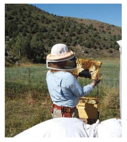 Fall Harvest - 2022 - Higbee Honey