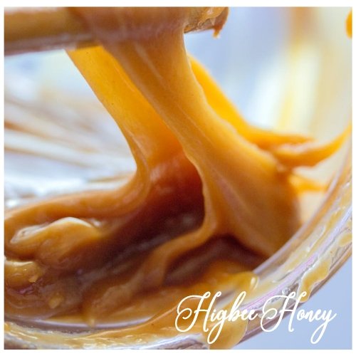 Honey Caramel - Higbee Honey