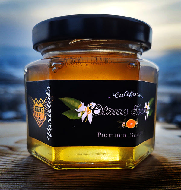 Premium Higbee Honey - By the Case (30 6oz hexagonal jars)