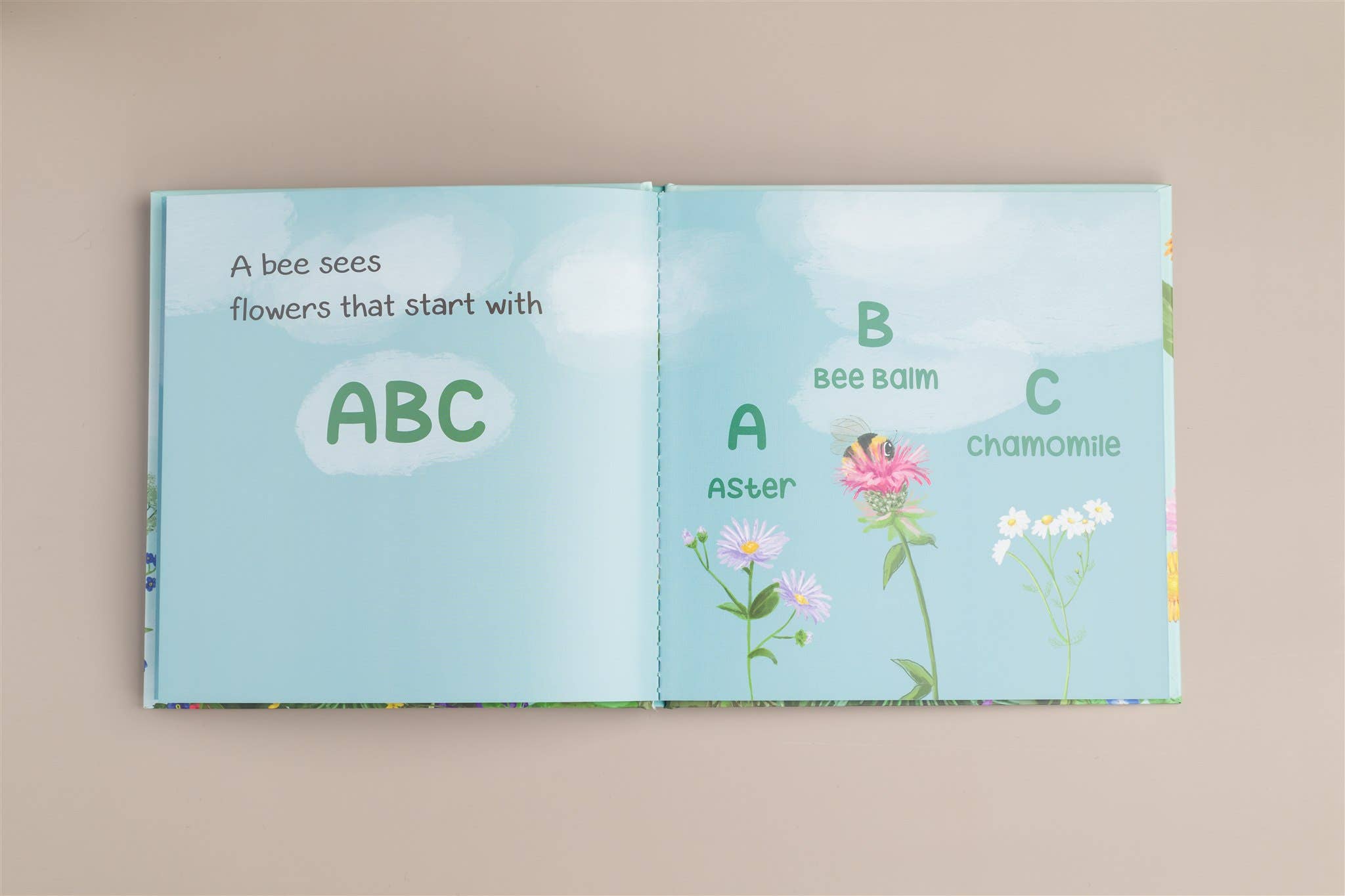 Honey - A Bee Sees The ABC's Hardback Children's Book: Board Book