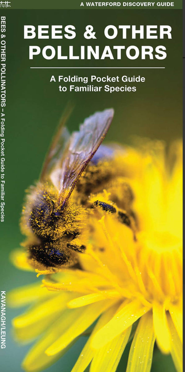 Accessories & Crocks - Bees & Other Pollinators