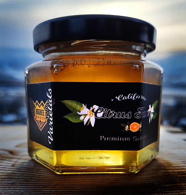 Premium Higbee Honey - By the Case (30 6oz hexagonal jars)