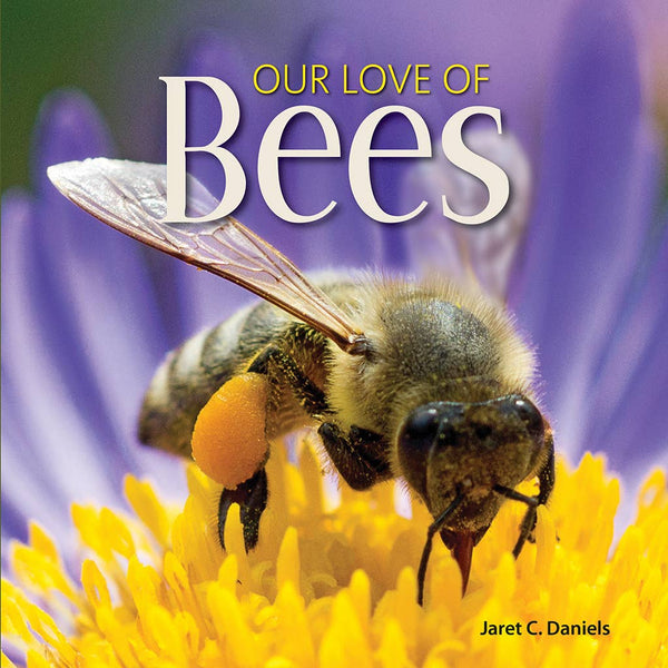Accessories & Crocks - Our Love Of Bees